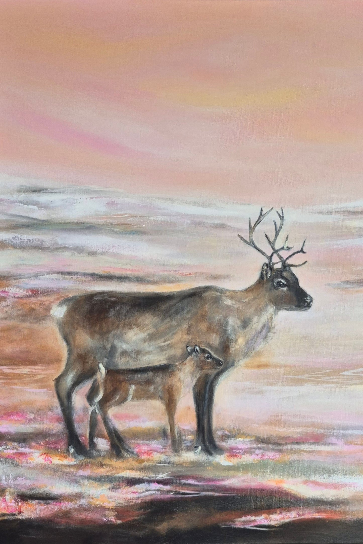 “Ođđa álgu, eallin fas čuvggoda”