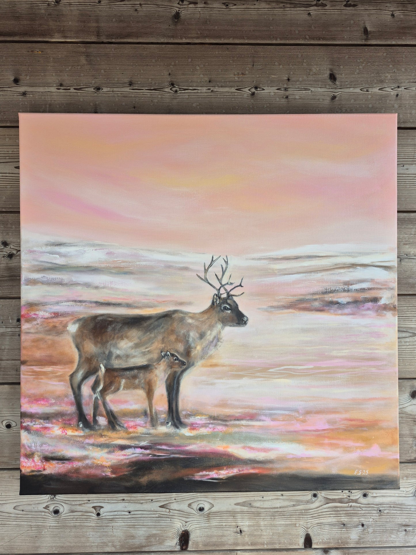 “Ođđa álgu, eallin fas čuvggoda”