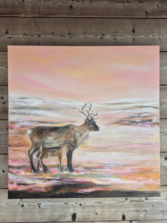 “Ođđa álgu, eallin fas čuvggoda”