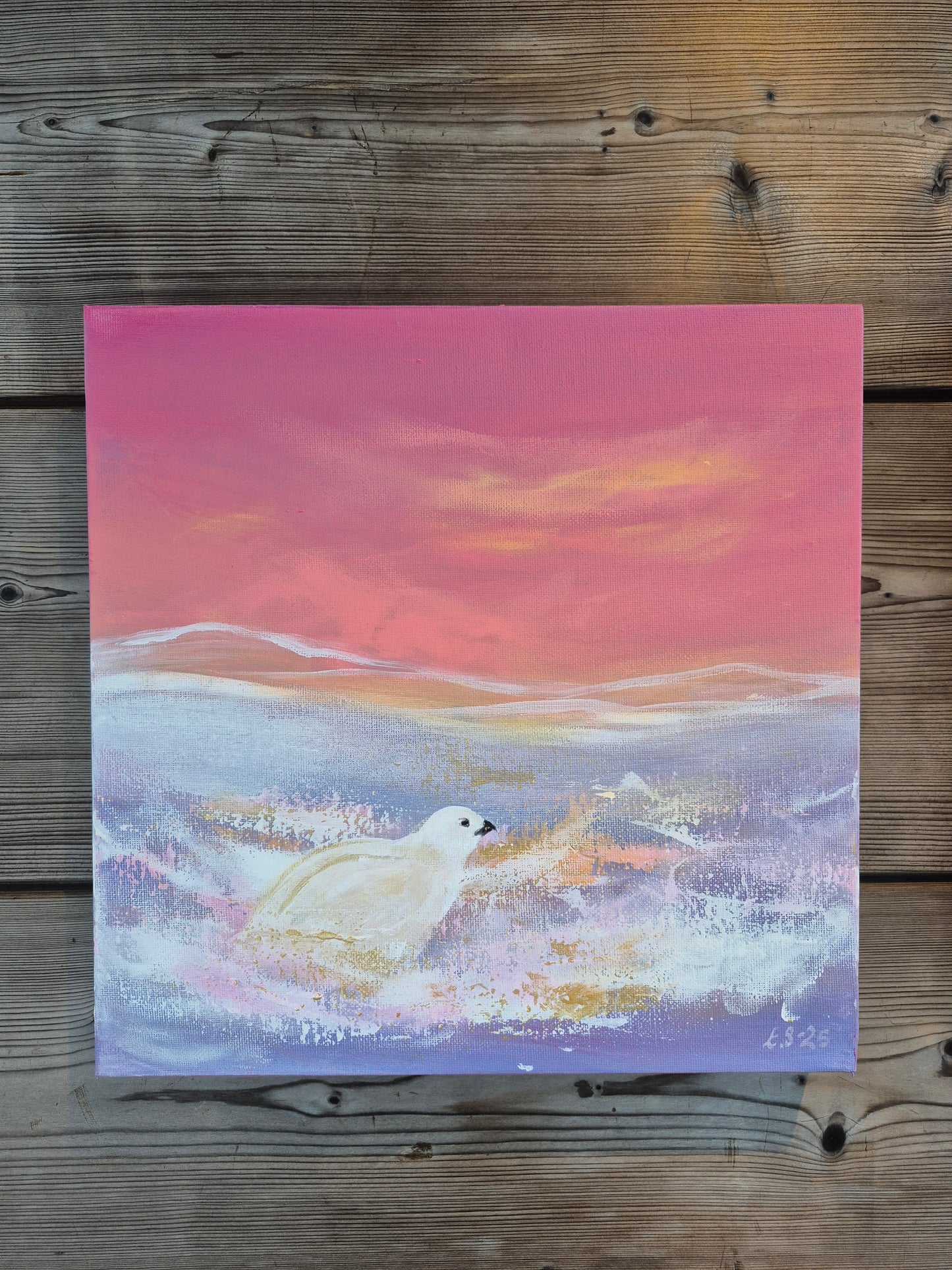 "Kun aurinko koittaa tavoittaa"