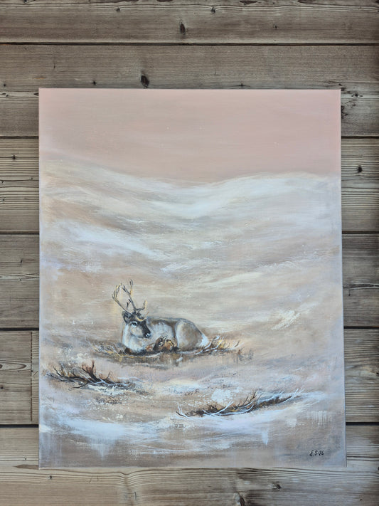 "Pois en antaisi koskaan"