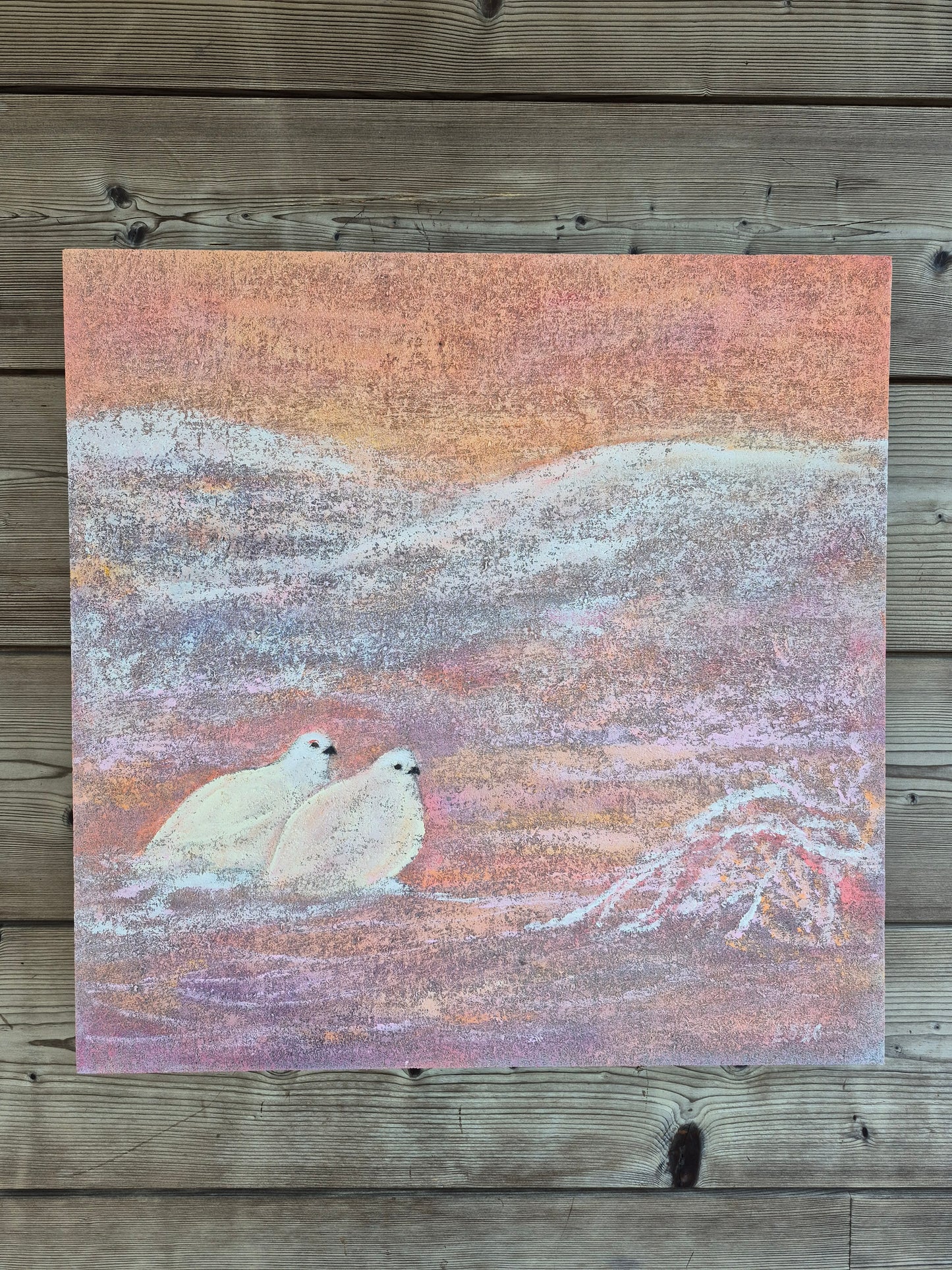 "Suojissa Lapin erämaiden"